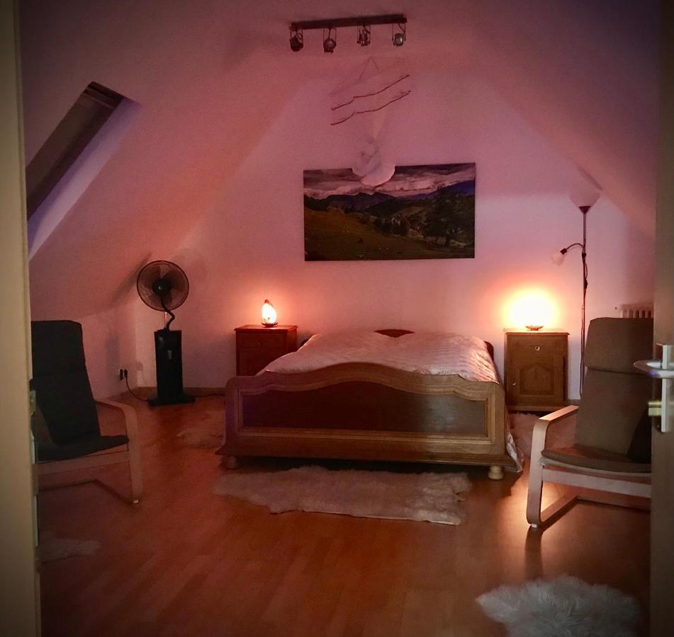 Transylvania Escape Apartment Richisu Exterior photo